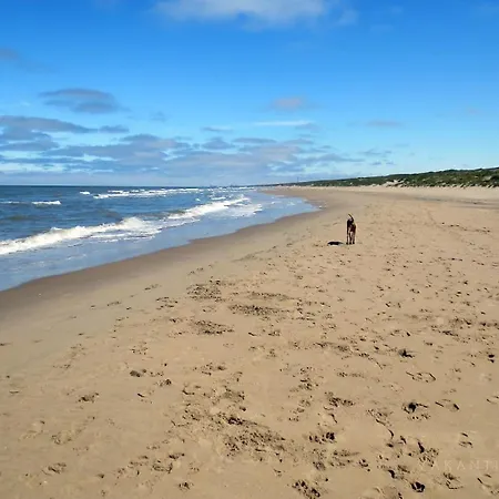 -Duinhuisje - Voor Families & Honden Nabij Strand Noordwijk Exterior foto